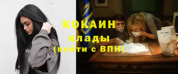 стаф Абинск