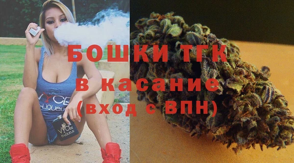 хмурый Абаза