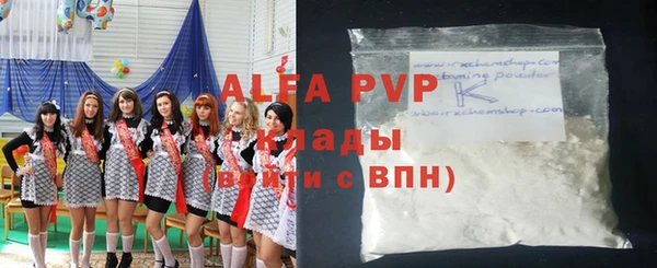 хмурый Абаза