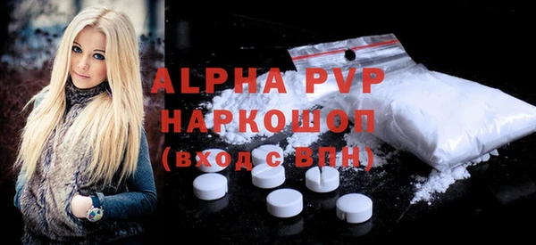 хмурый Абаза
