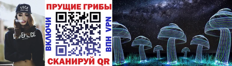 Псилоцибиновые грибы Psilocybine cubensis  наркотики  Мегион 